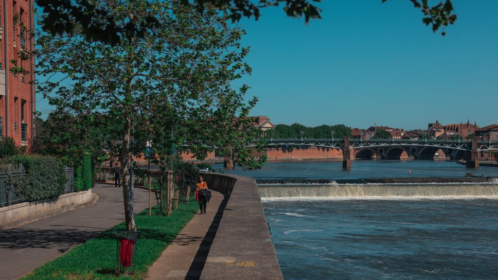 Vue de Toulouse et des bords de Garonne